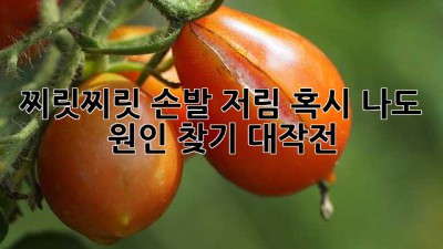 찌릿찌릿 손발 저림, 혹시 나도? 원인 찾기 대작전! 🚨