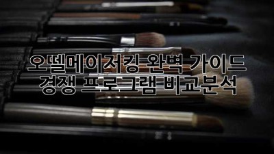 오뗄메이저킹 완벽 가이드: 경쟁 프로그램 비교분석